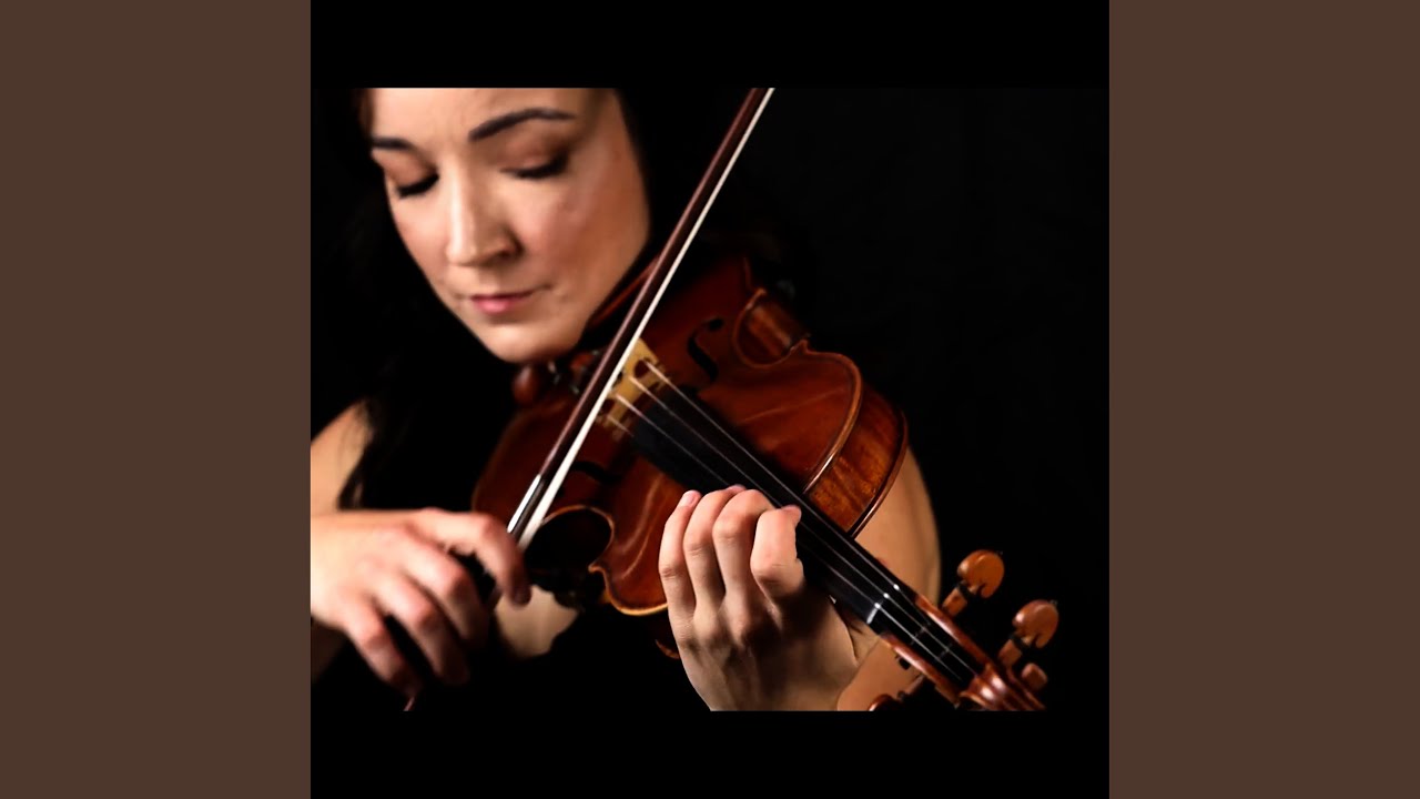 How To Train Your Dragon Medley ((Violin Instrumental))