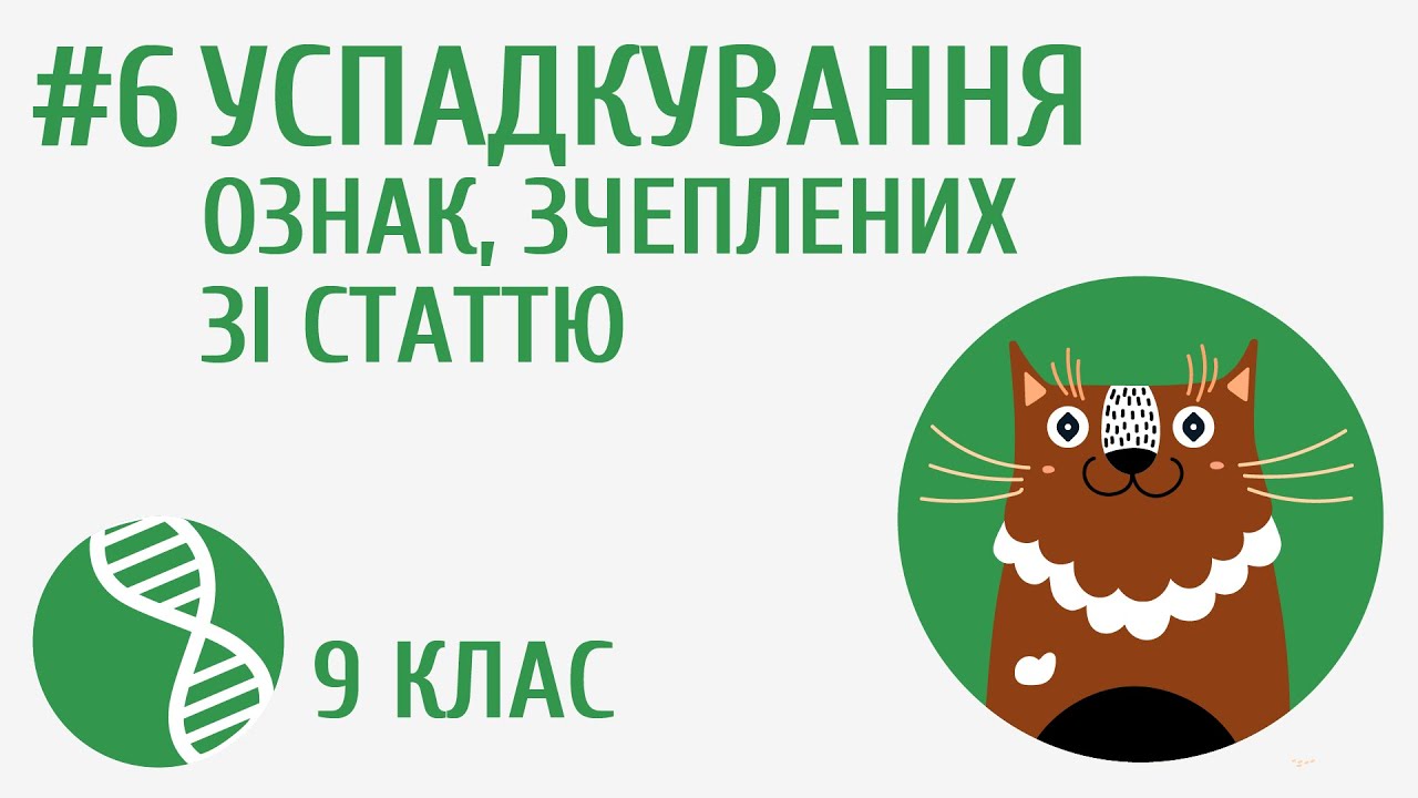 Успадкування ознак зчеплених зі статтю #6