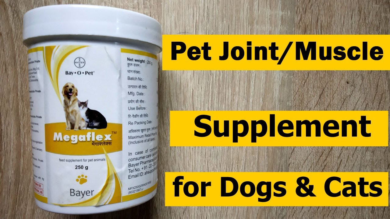 Dog Joint/Muscle Pain Supplement by Megaflex for Dog and Cat