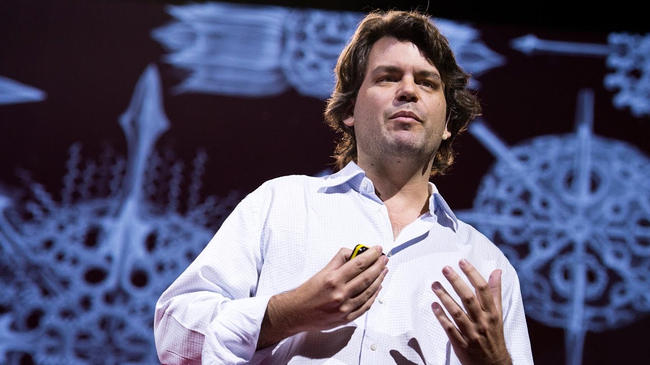 Мишель Ансмейер: создавая невообразимые формы