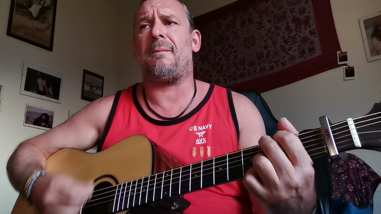 Io voglio vivere   Nomadi cover