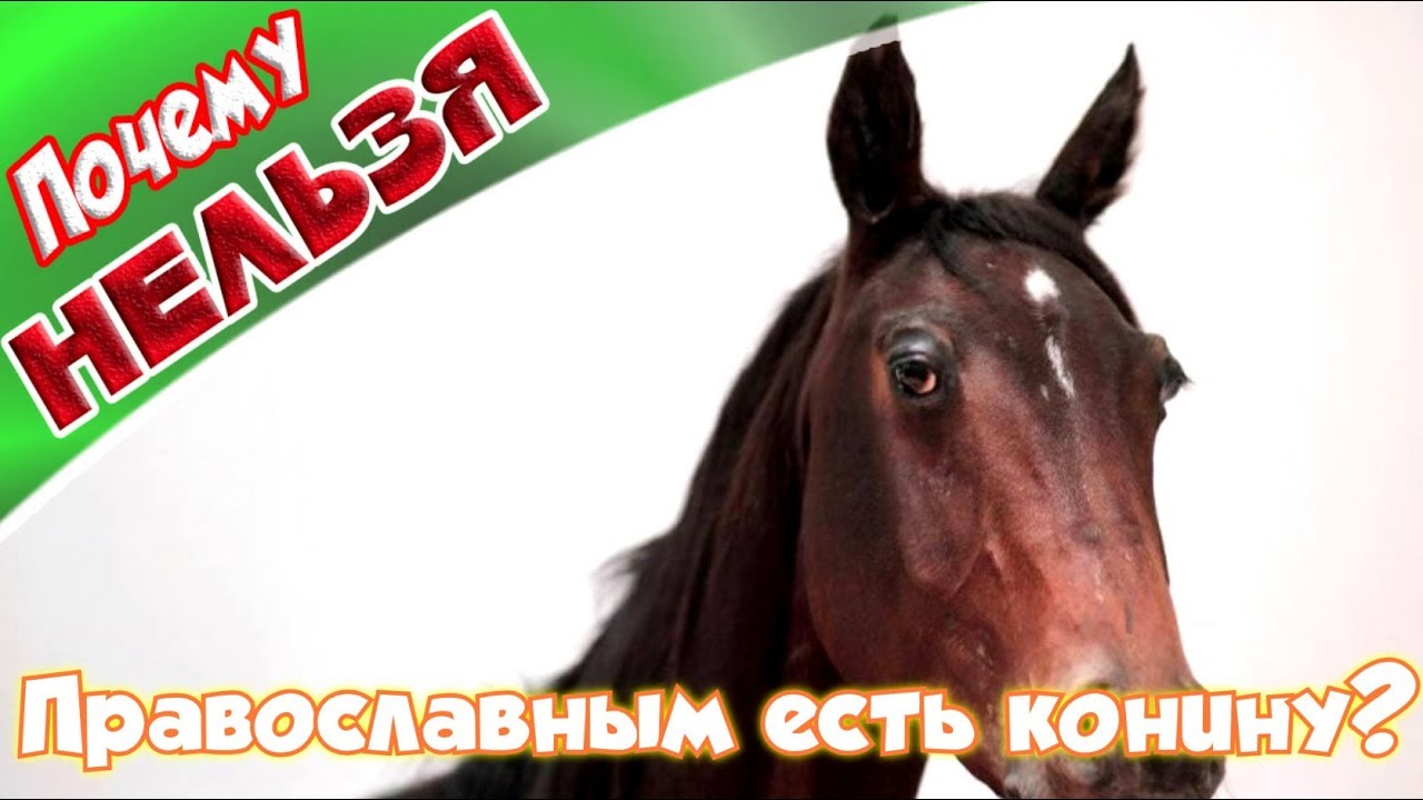 ➤Почему православным нельзя есть конину?➤