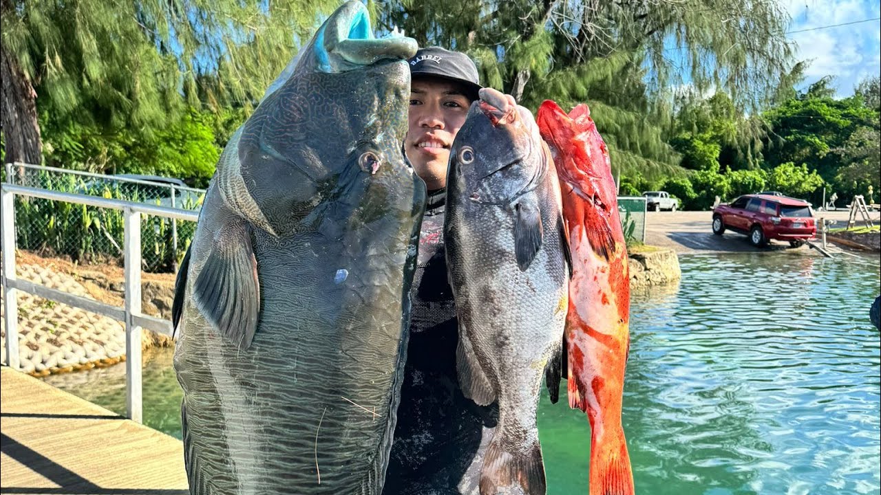 Подводная охота на Козий остров[С2 Эп.4] CNMI🏝️] Акула Мако, Джейбой, капитан Абрахам.