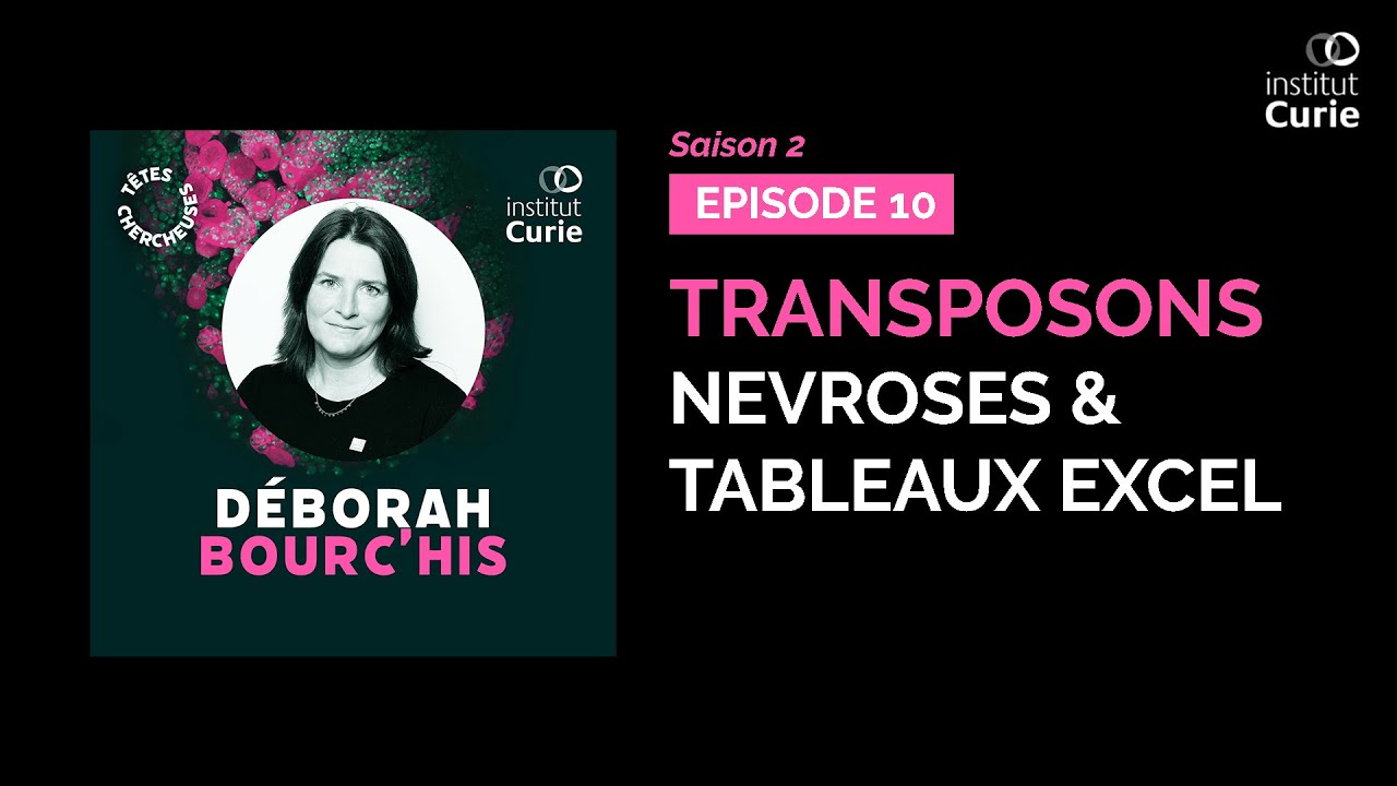 Transposons, névroses & tableaux Excel avec Déborah Bourc’his