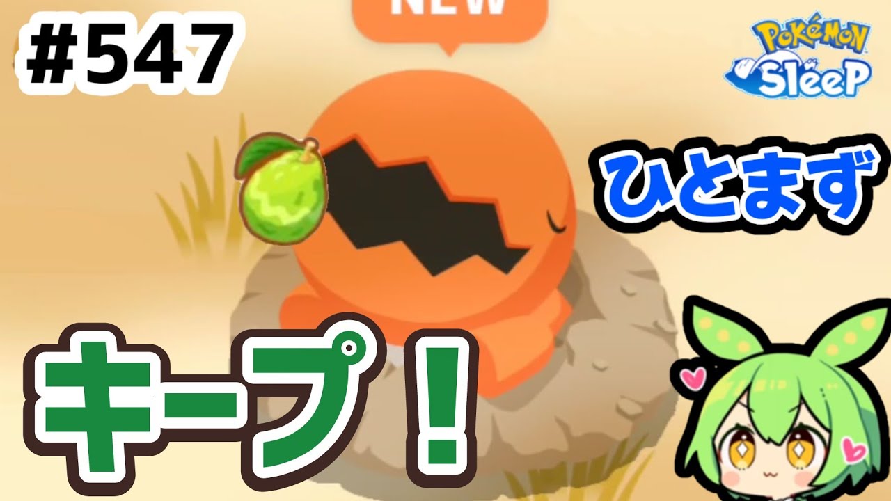 【睡眠リサーチ】＃547『このナックラー、ひとまずキープ！』【ポケモンスリープ/pokemon sleep】【無課金ゴプラ勢】【ゆっくり実況ずんだもん】