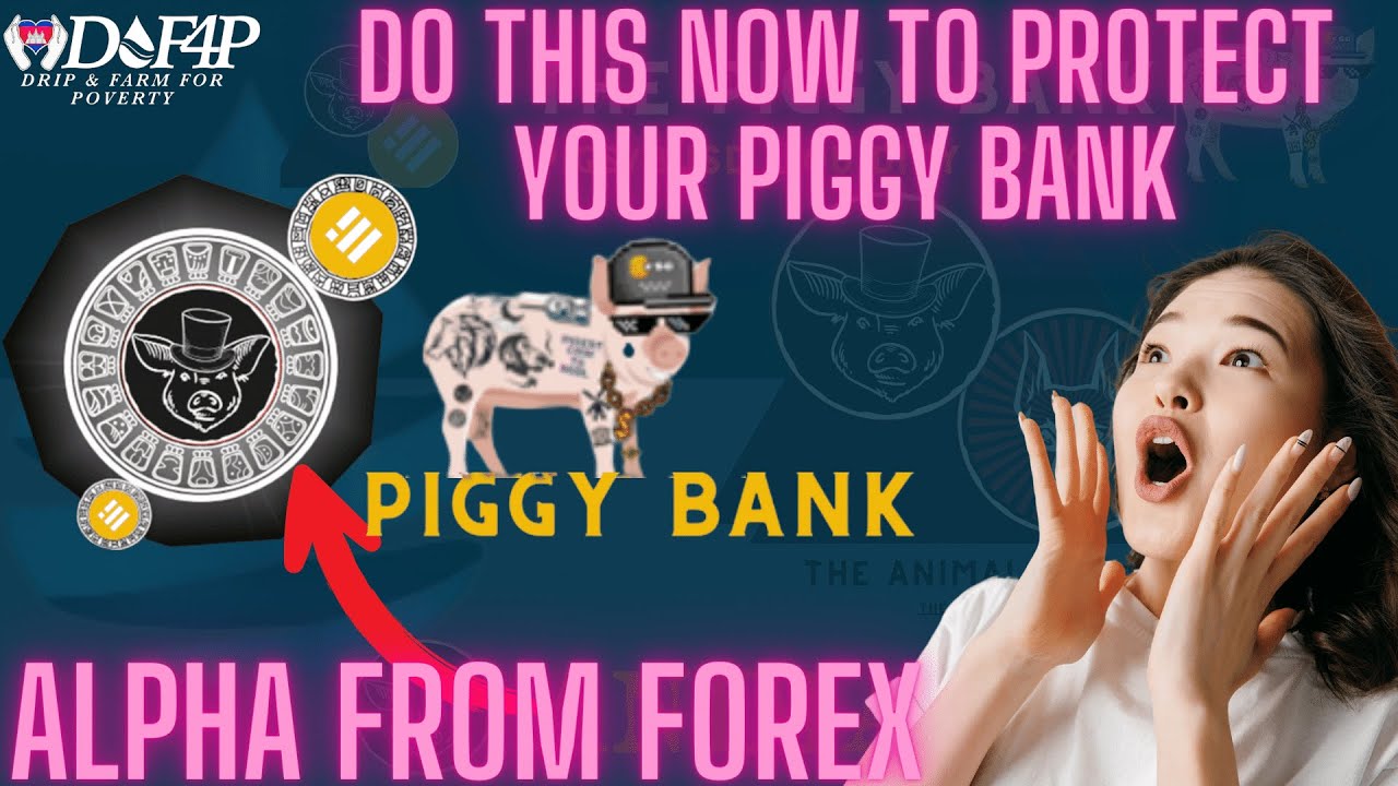 Drip Network Forex explains Piggy Bank & Drip Garden strategy