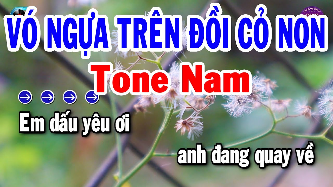 Vó Ngựa Trên Đồi Cỏ Non Karaoke Tone Nam Nhạc Sống Cha Cha Beat Chuẩn Nhất | Karaoke Tuyển Chọn