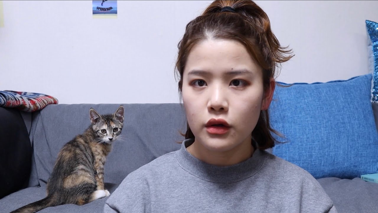 고양이 주인 잠시 바꿔봤습니다.