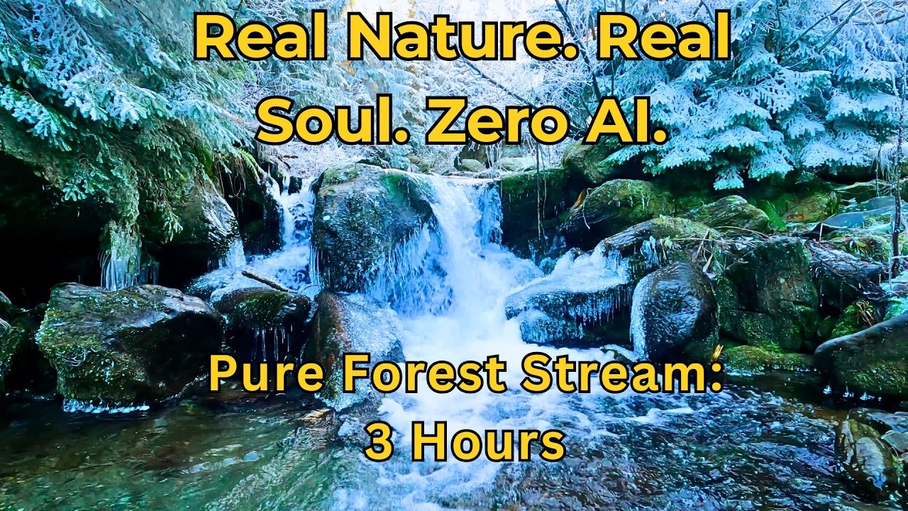 Mountain Creek Serenity 🌳 Real Water Sounds (No AI, 100% Authentic Nature)