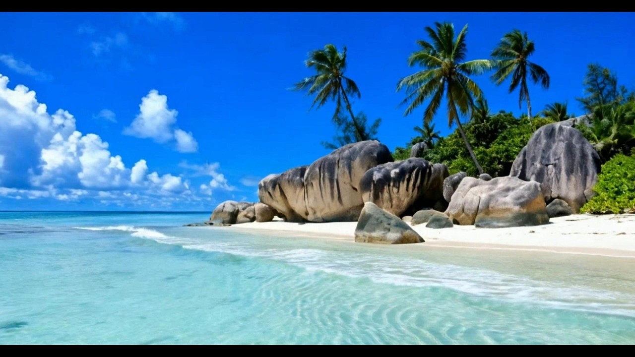 Calm Anxiety - 432Hz Calming Zen Music | 18 minutes Handpan | Vitamin Sea