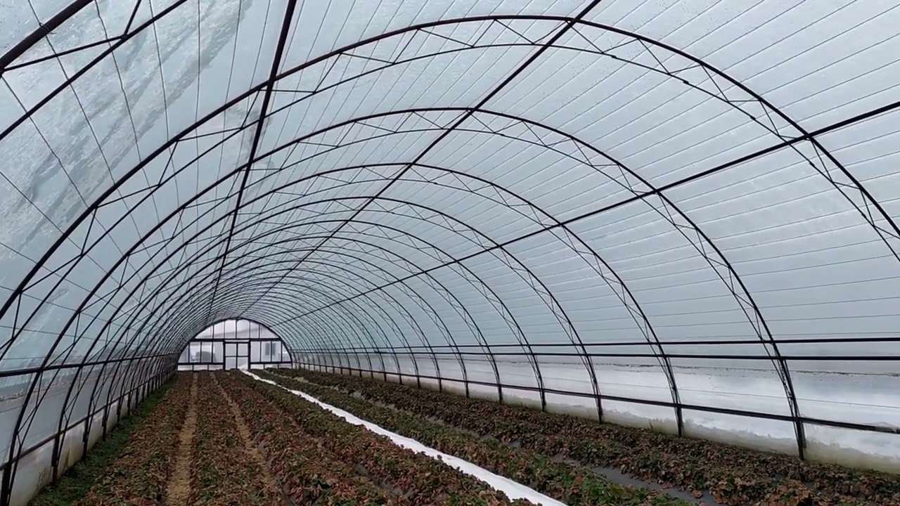 Крепление проволки на теплице! Механизм открывания торцевого окна!