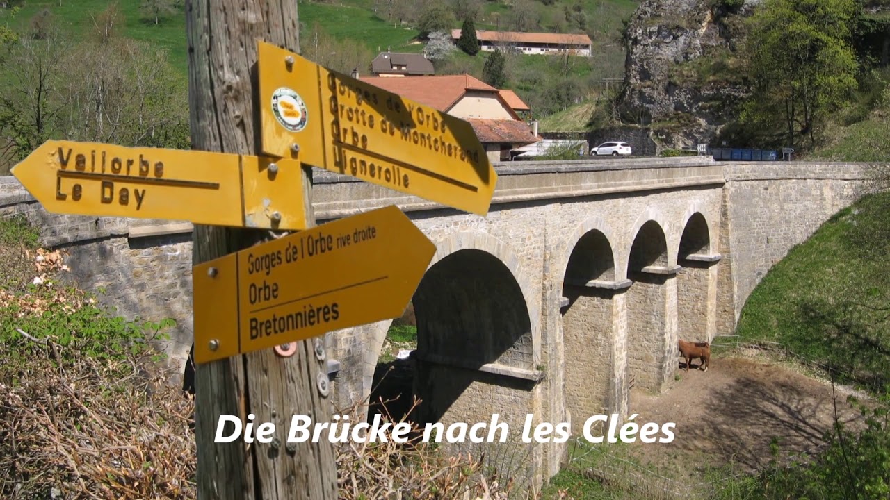 Orbe - Gorges de l'Orbe -  Vallorbe / Eine wunderbar grüne Schlucht /// 22. Juni 2020