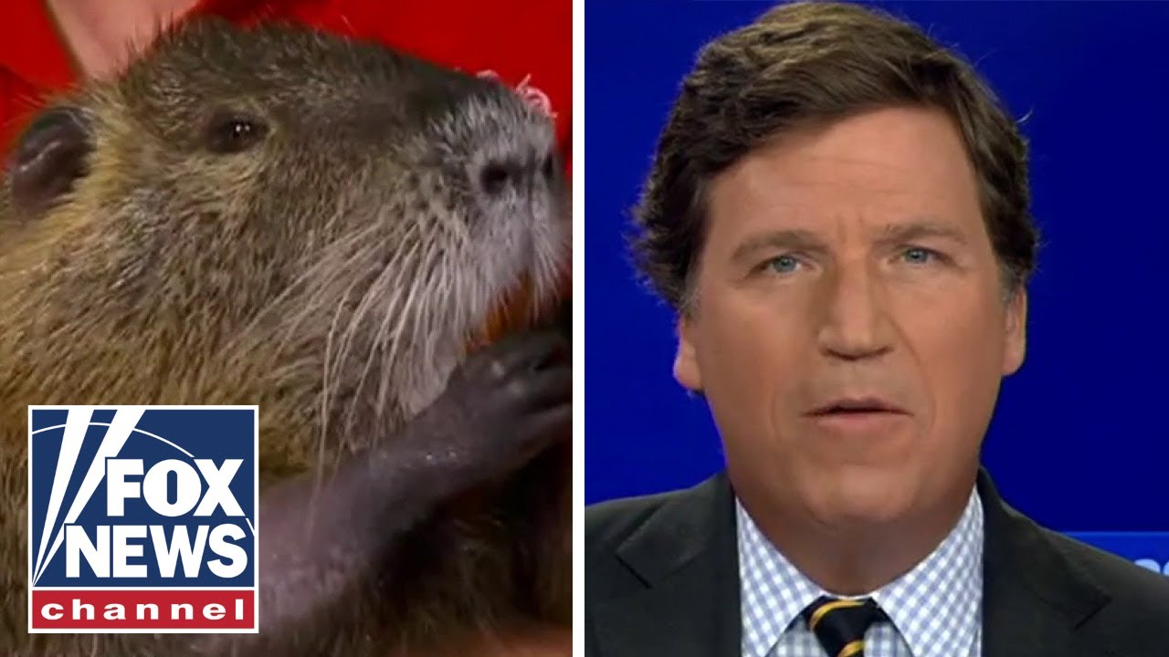 Tucker says hello to beloved rodent couple fought the state to keep