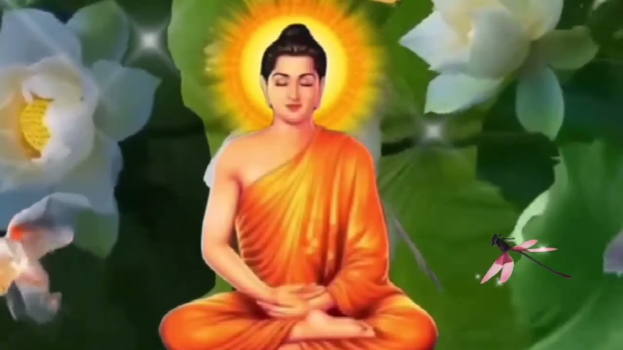 NHẠC THIỀN TĨNH T&Acirc;M AN NHI&Ecirc;N TỰ TẠI - HƯỚNG PHẬT