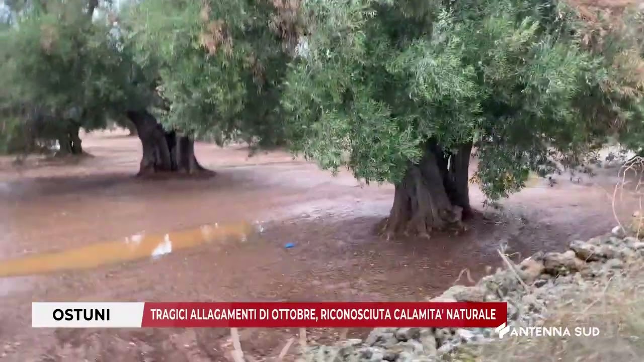 06 FEBBRAIO 2026   OSTUNI BR   TRAGICI ALLAGAMENTI DI OTTOBRE, RICONOSCIUTA CALAMITA' NATURALE