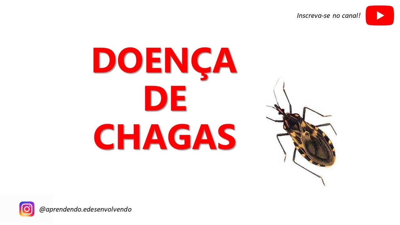 Doença de Chagas - Tudo o que você precisa saber - COMPLETO E OBJETIVO [atualizado]