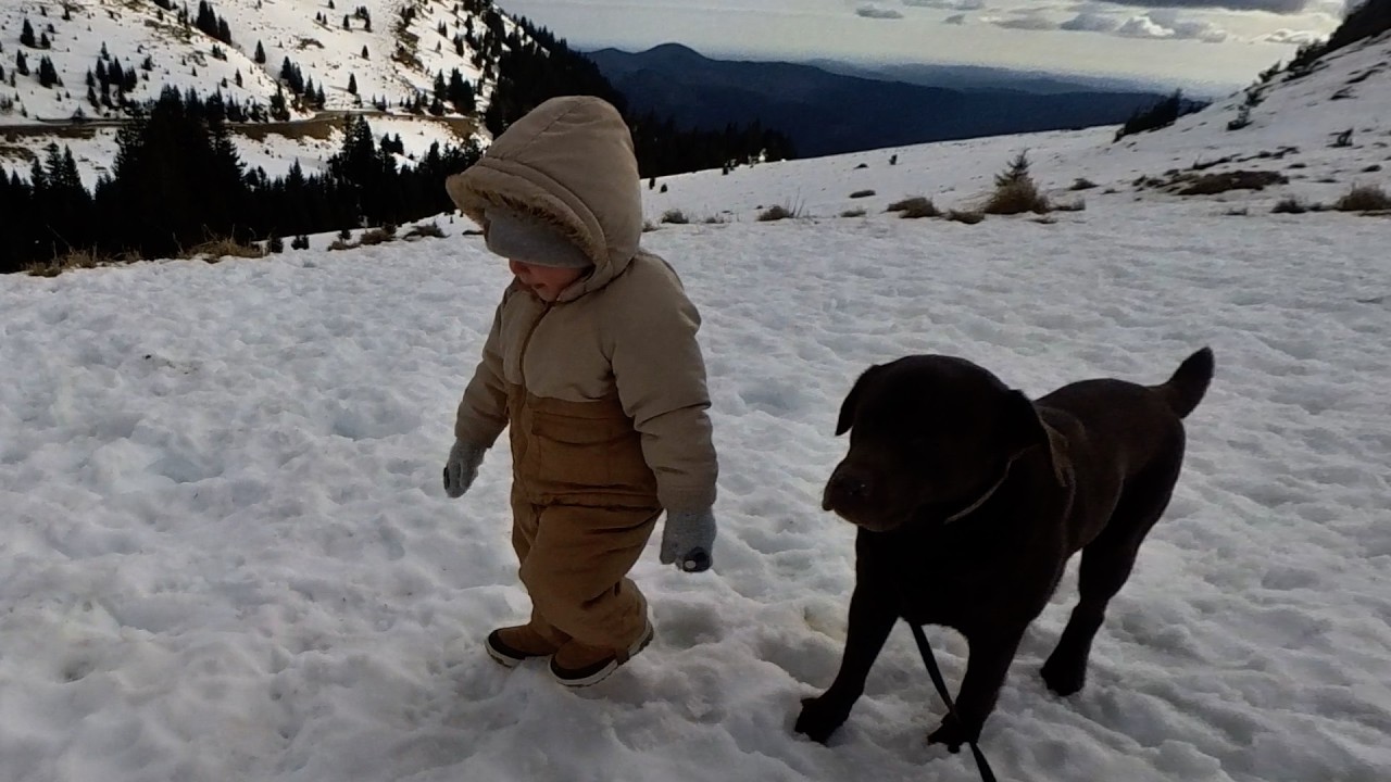 Baby, Sissy and Dog’s First Reaction to Snow at 5,250 Feet!