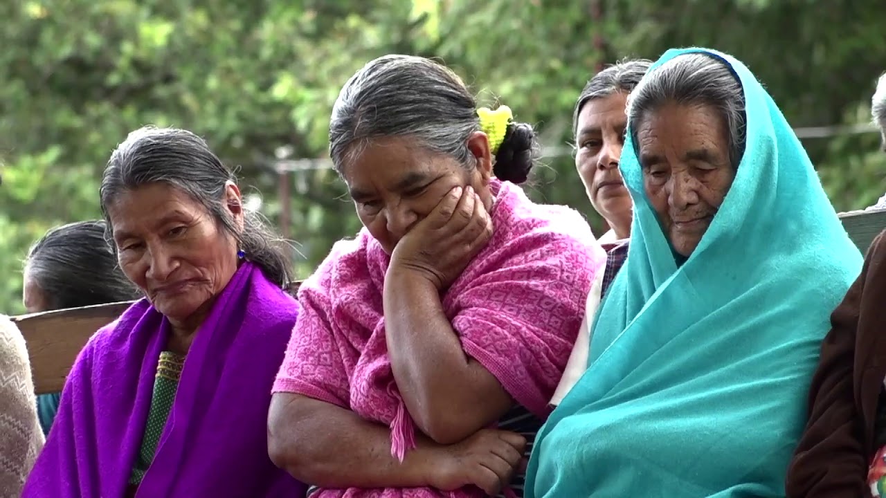Chimalapas | La &Uacute;ltima Gran Selva de M&eacute;xico | Tercer Milenio por la Vida | A+ 8/03 Marzo