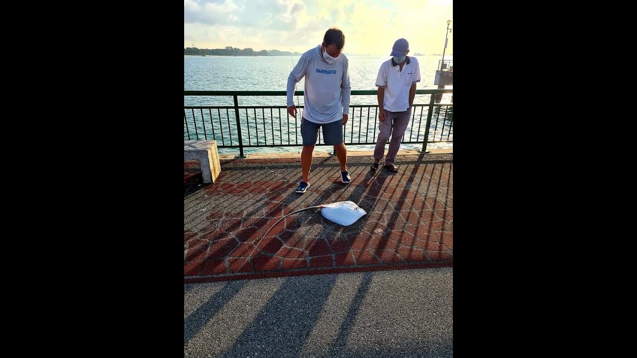 Bedok Jetty, Stingray, Incredible Fight, full version