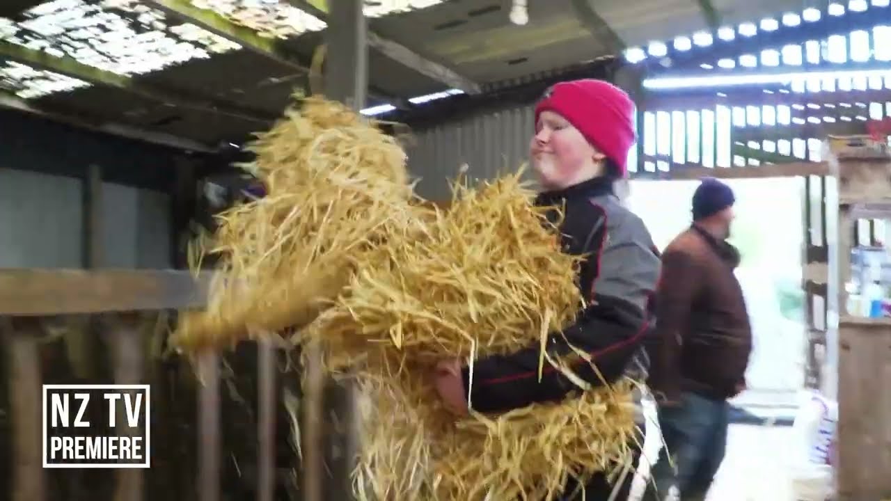 RARE BREED - A FARMING YEAR