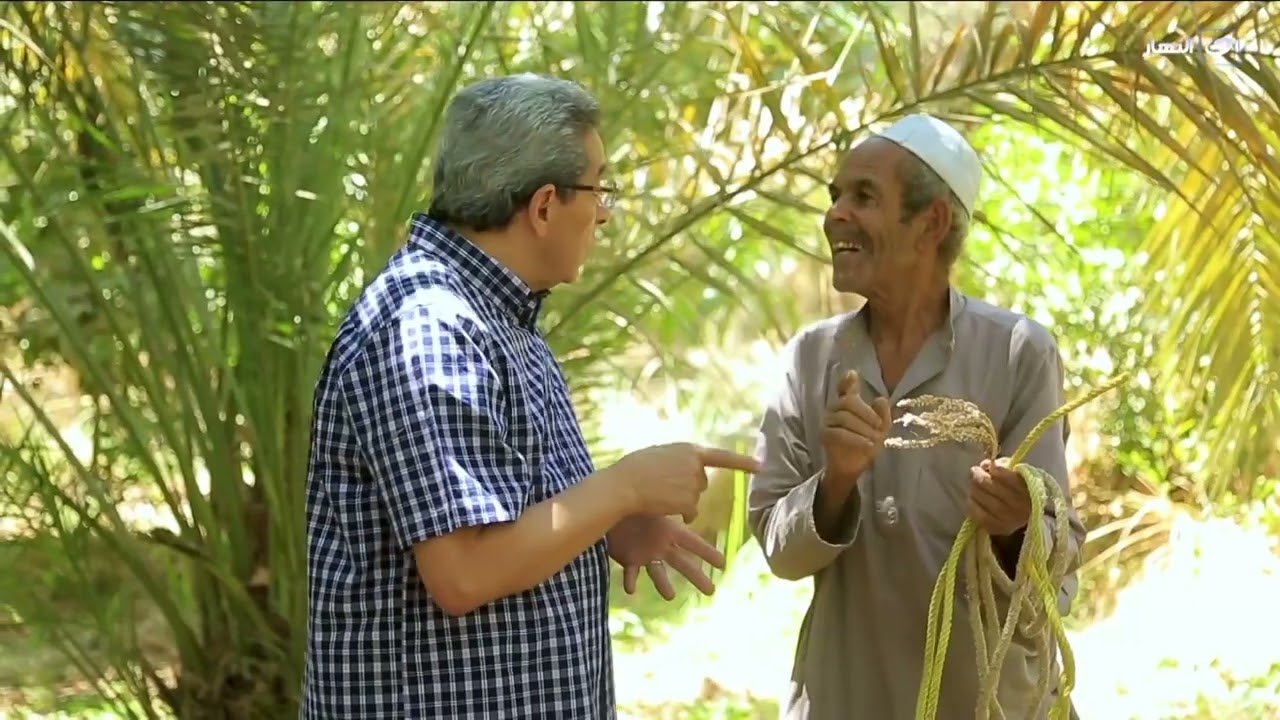 باب الخلق| كيد سمعت عن طالع النخل وعن الجمار وفوائدة السحرية.. واكيد ماشفتهمش!