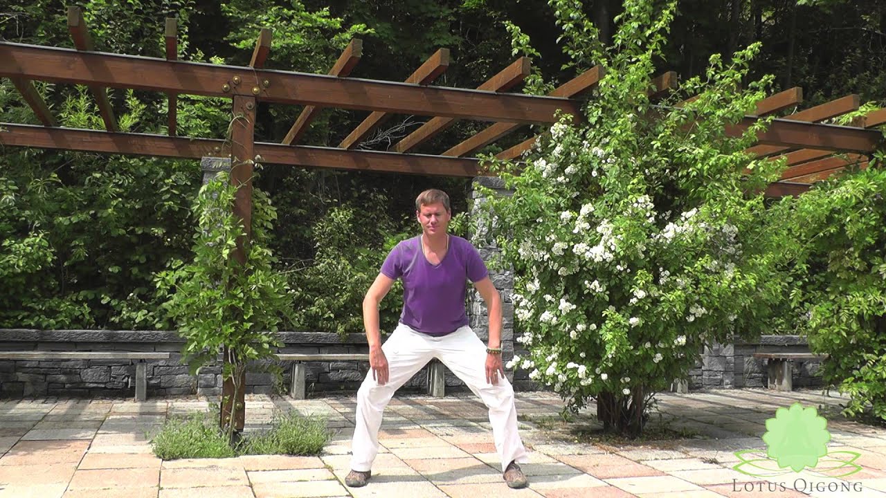 8 Brokate (Baduanjin), 8 brocades        | Lotus Qigong by Markus Ruppert
