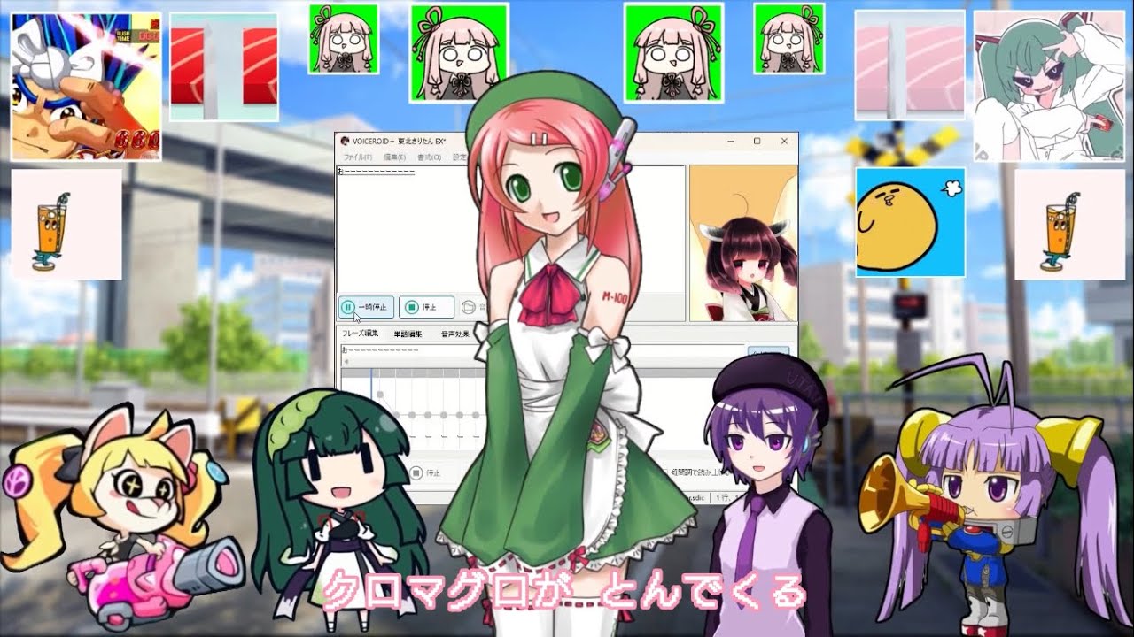 クロマグロがとんでくる