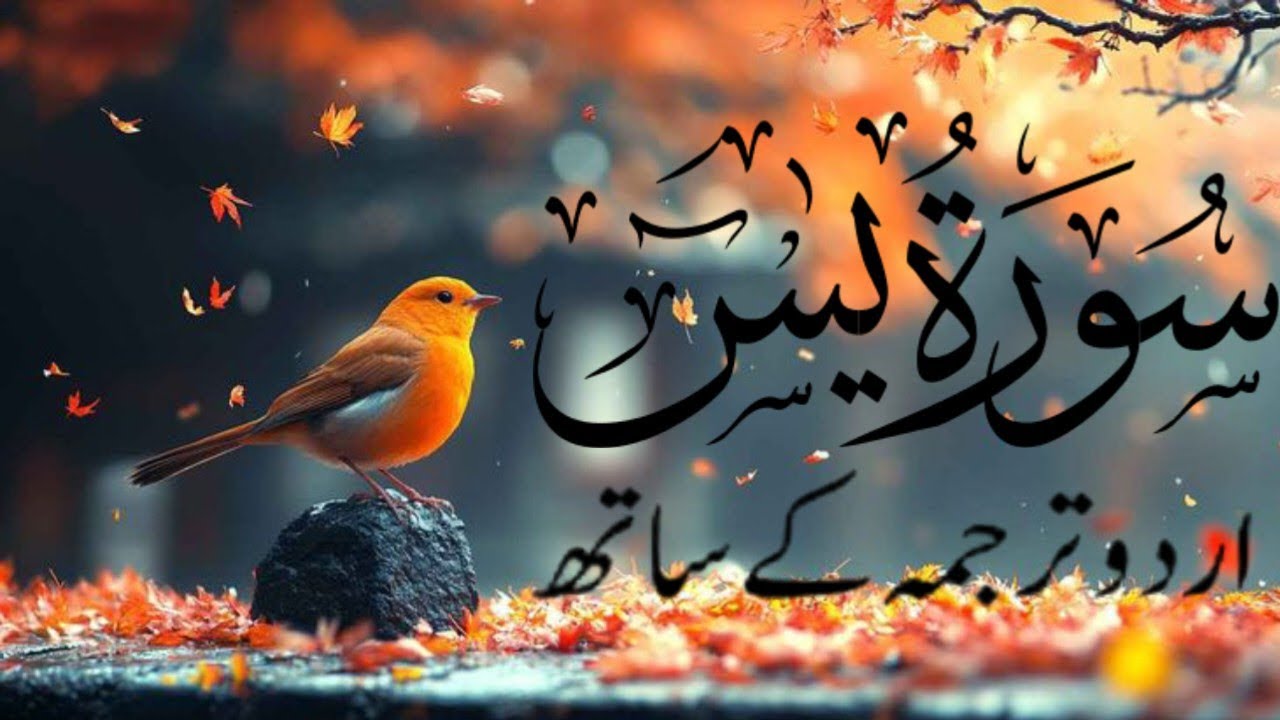 surat Yasin (yaseen) (سورۃ یس)surat Yasin Urdu Translation | 176 |Quran Tilawat Beautiful Voice