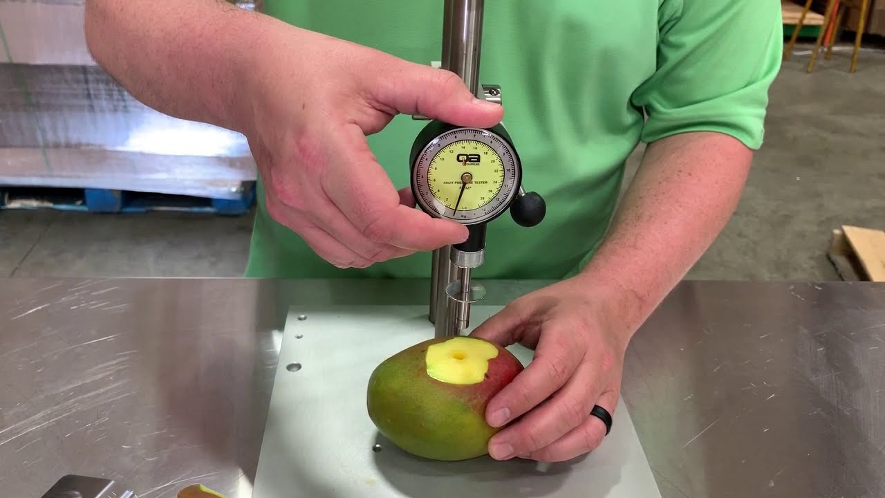 How To Properly Measure Mango Firmness