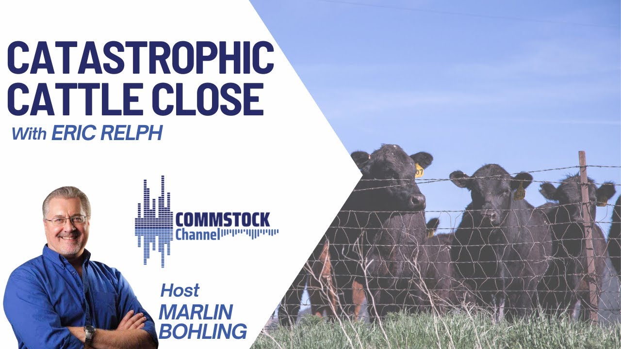 Catastrophic Cattle Close