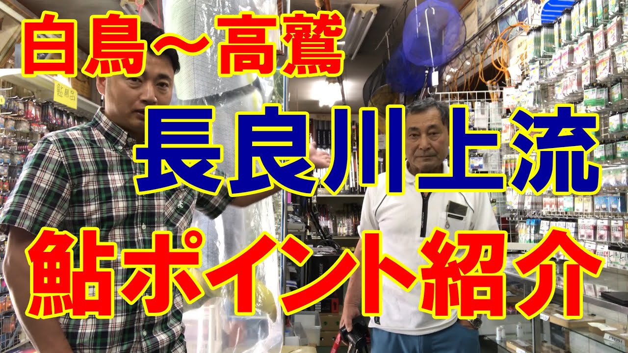 郡上鮎解禁前直前ポイント紹介（白鳥～高鷲編）