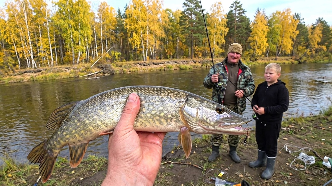 Ловим с сыном щуку  в маленьких речках.  Рыбалка в Сибири.