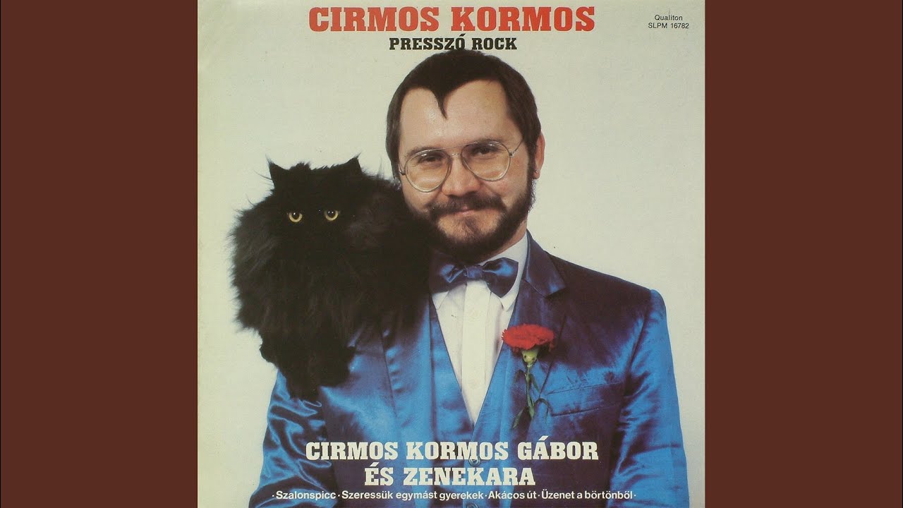 Üzenet a börtönből (Éjjel rács van a csillagokon)
