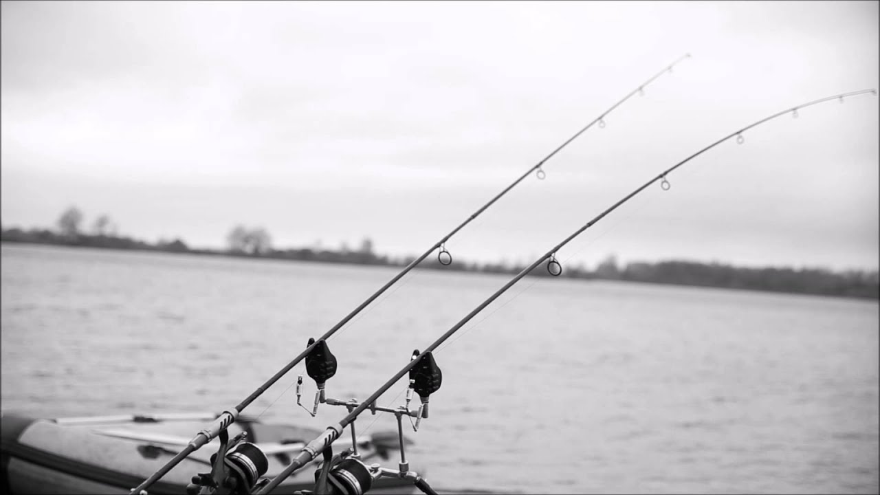 Carp run screaming  on Fox NX-R