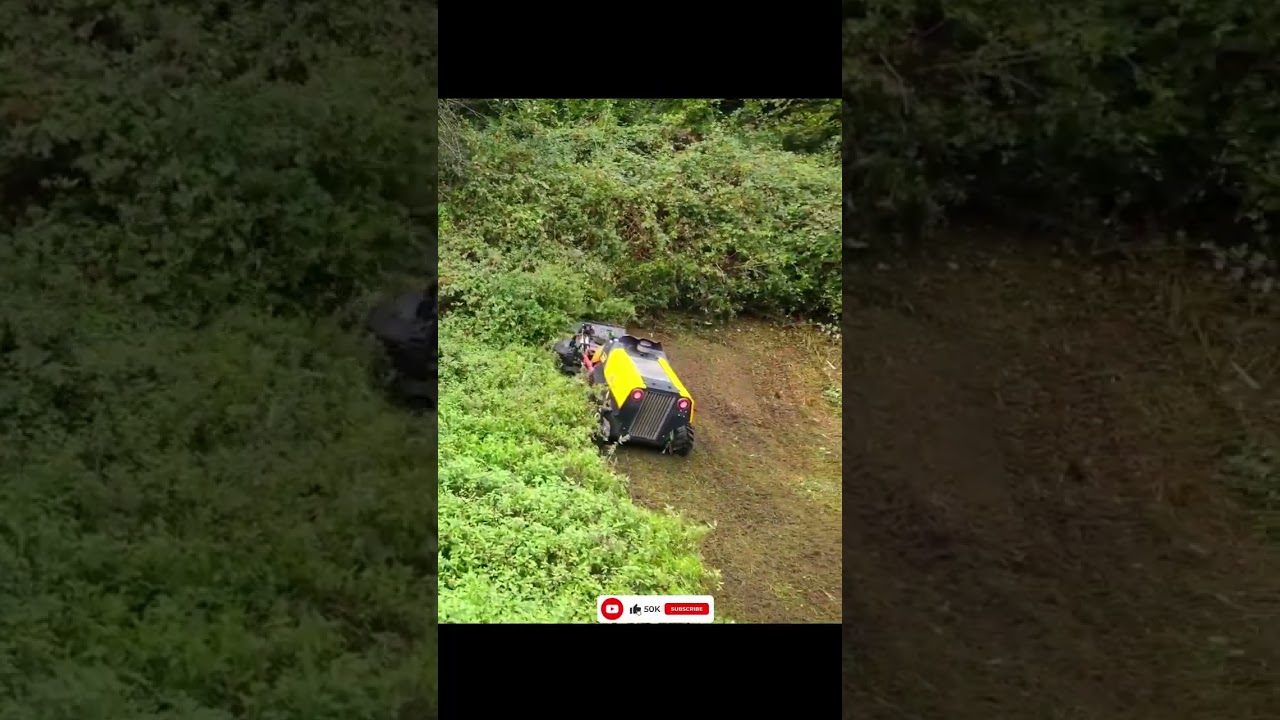Forestry Land Clearing - #Shorts