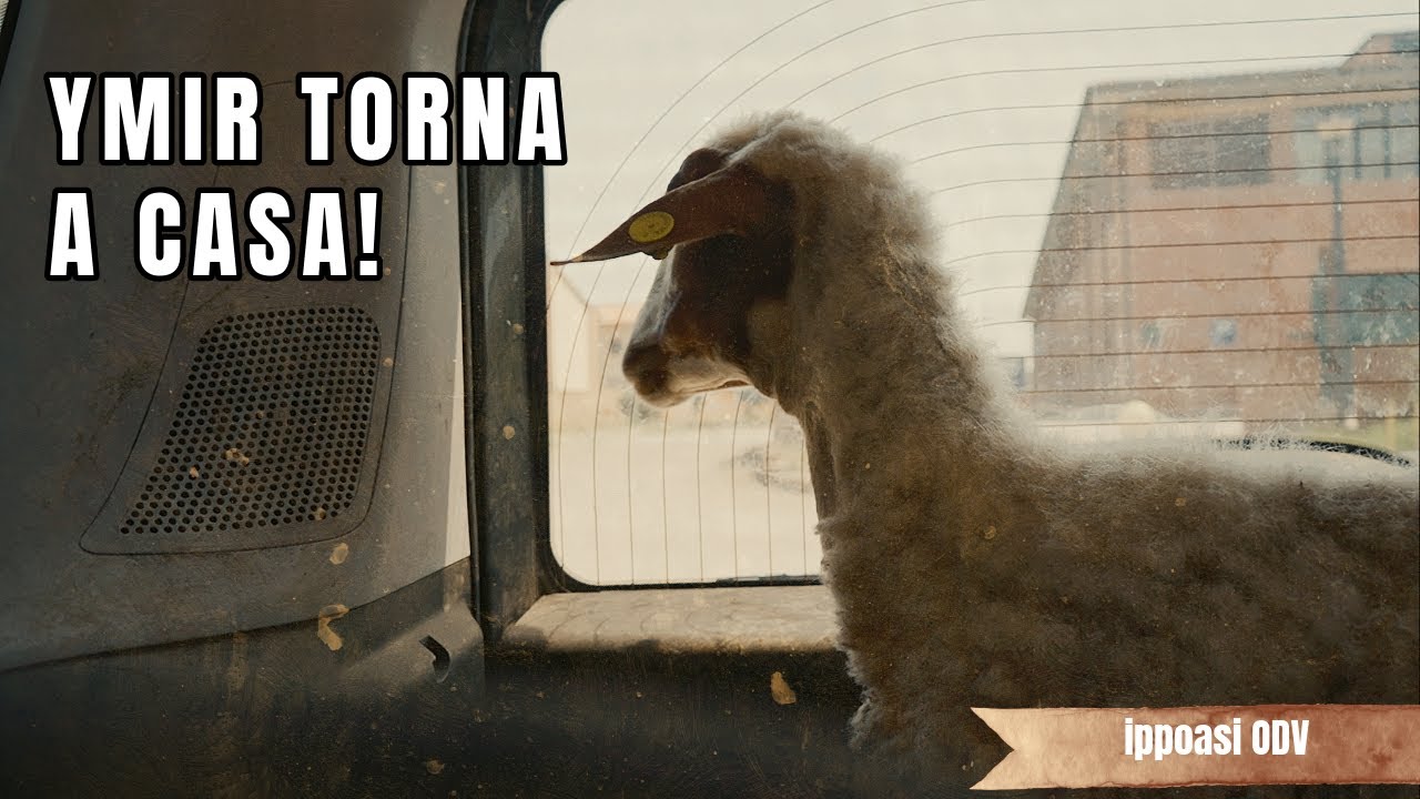 Ymir torna a casa!