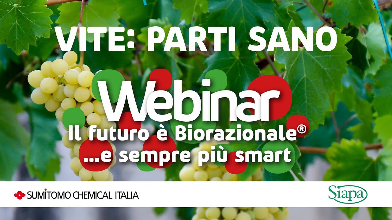 Vite: parti sano - Webinar il futuro è Biorazionale® - induttore di resistenza
