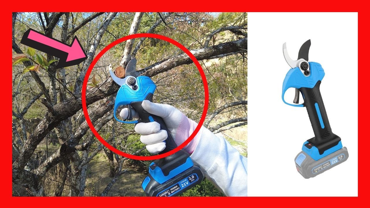 🥇 5 Migliori FORBICI da Potatura a batteria in offerta su Amazon (Utensili elettrici da giardino)