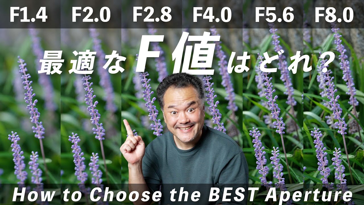 最適なF値はどれ？作例で学ぶ絞りの選び方【初心者向けカメラ講座】