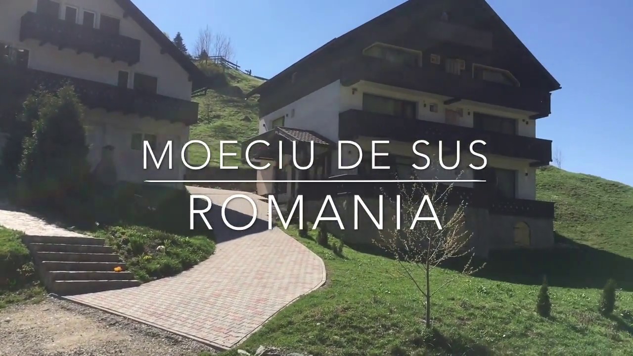 Bed & Breakfast “Carpatica Lodge” Moeciu de Sus in Romania