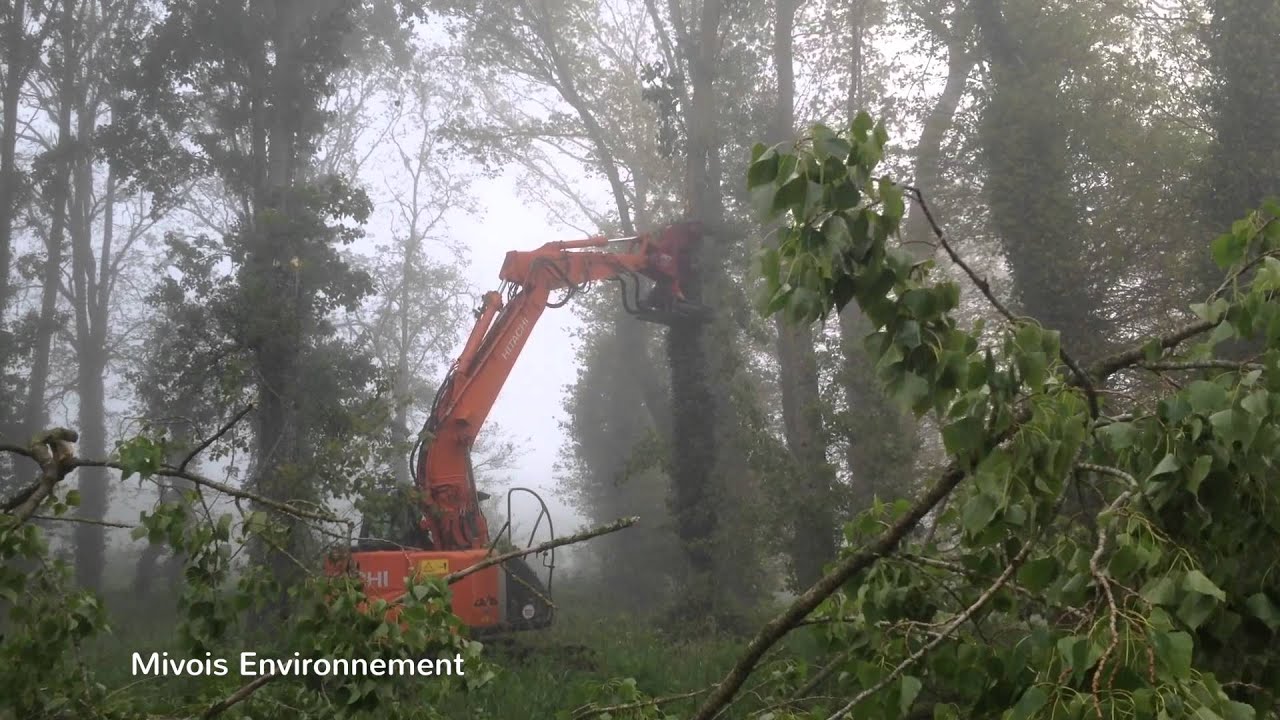 Eclaircie de forêt - Pelle 13 Tonnes