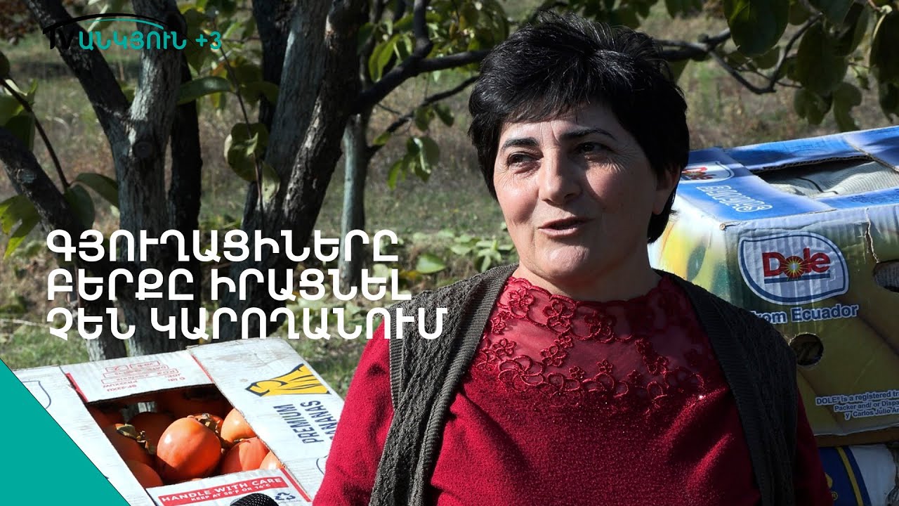 Սրան - նրան աղաչում ենք, որ առնեն. դեղձավանցիները  բերքի իրացման մասին