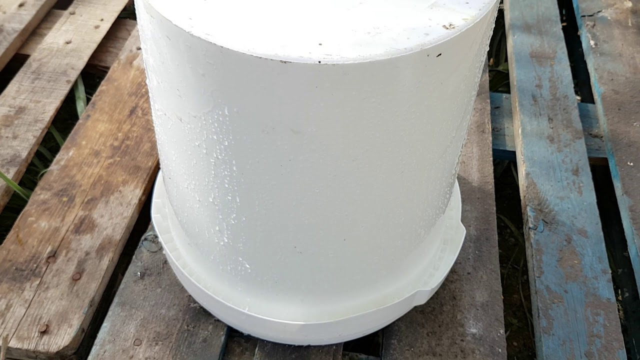 Πώς βάζω νερό στα μελίσσια μου- How to provide water for bees