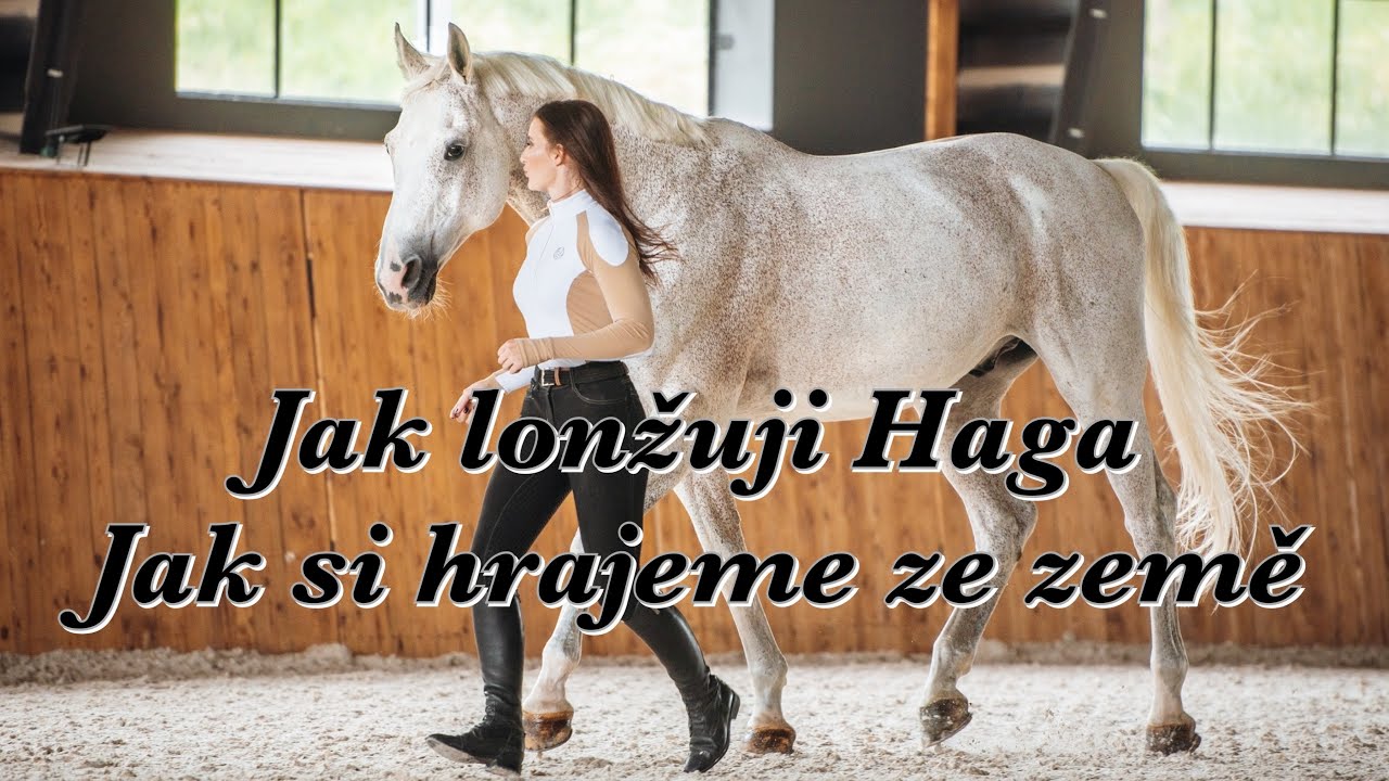Jak lonžuji Haga a jak si hrajeme ze země
