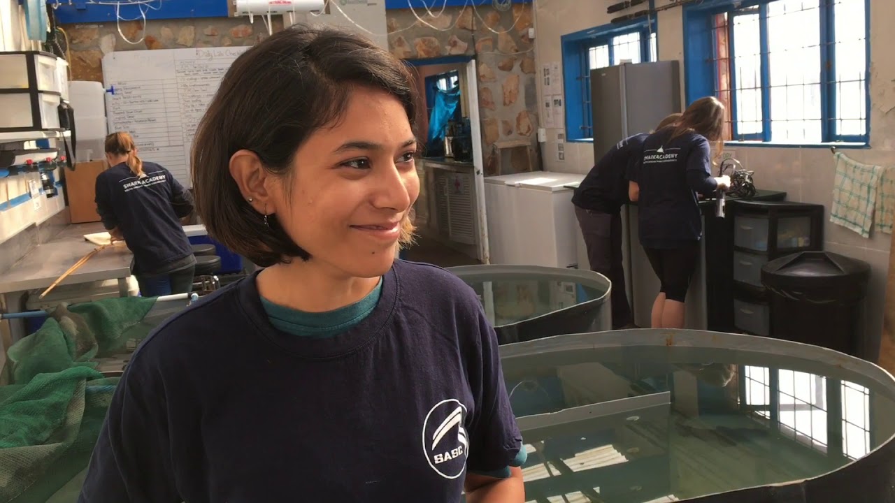 Life at the shark lab: Ep01