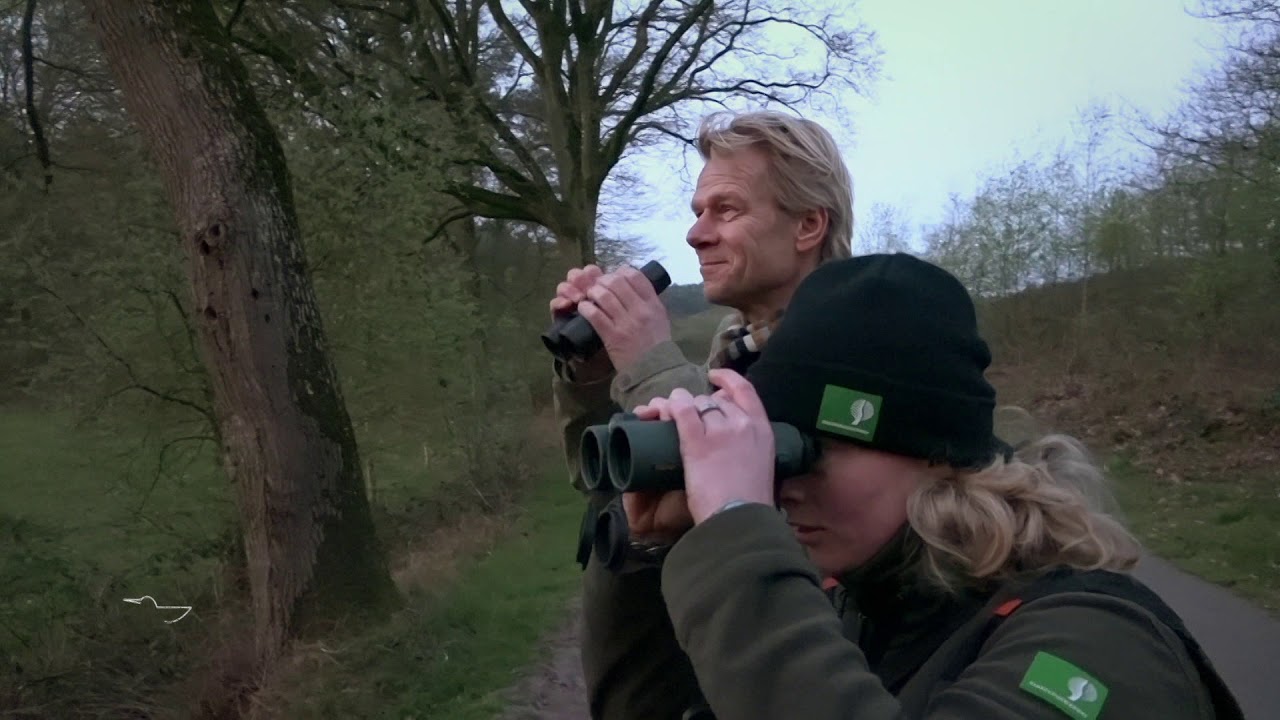 Vroege Vogels - Dassen spotten bij de Hatertse en Overasseltse vennen