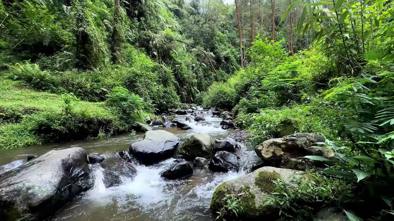 Natural river sound under moonlit forest sky guiding calm breathing into deep sleep mode