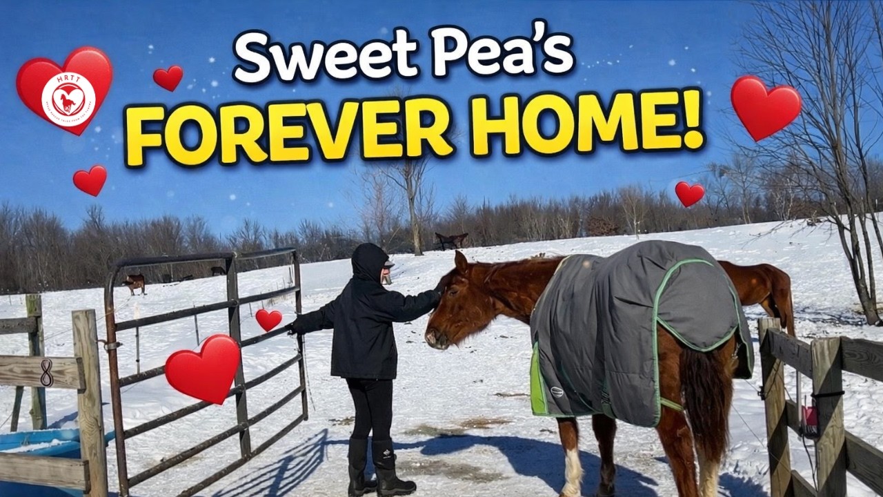 She’s Safe. She’s Loved. She’s Home. ❤