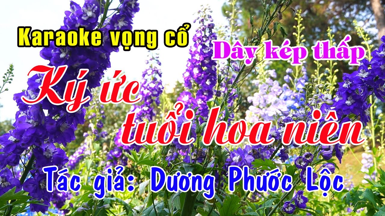 Karaoke vọng cổ KÝ ỨC TUỔI HOA NIÊN - DÂY KÉP THẤP