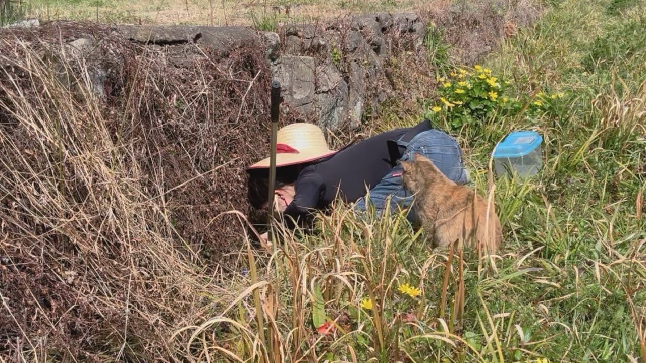 【田舎暮らし】用水路ガサガサ&hellip;見つけたものは？
